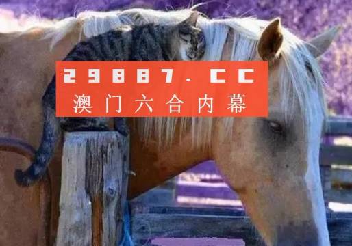 2024澳門資料免費大全,科學依據解析_運動版35.500