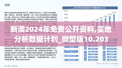 新澳2024正版資料免費公開,社會承擔實踐戰略_競技版35.402