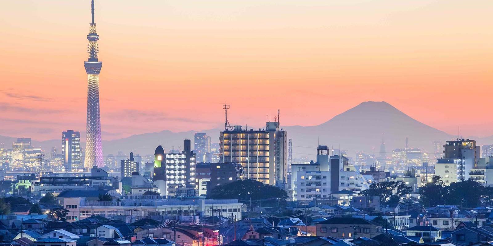 東京疫情最新人數，自然療愈與內心平靜的尋找之旅