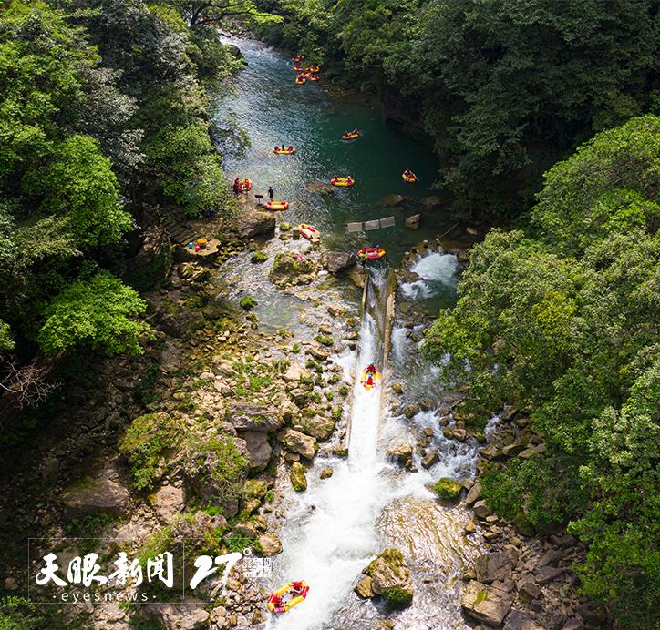 山山集團最新動態，日常趣事與家的溫馨紐帶