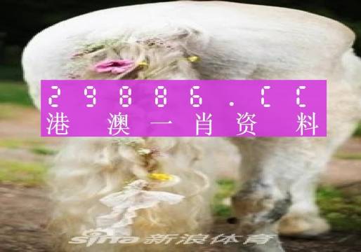 2025全年資料免費(fèi)大全一肖一特,釋意性描述解_家居版94.185